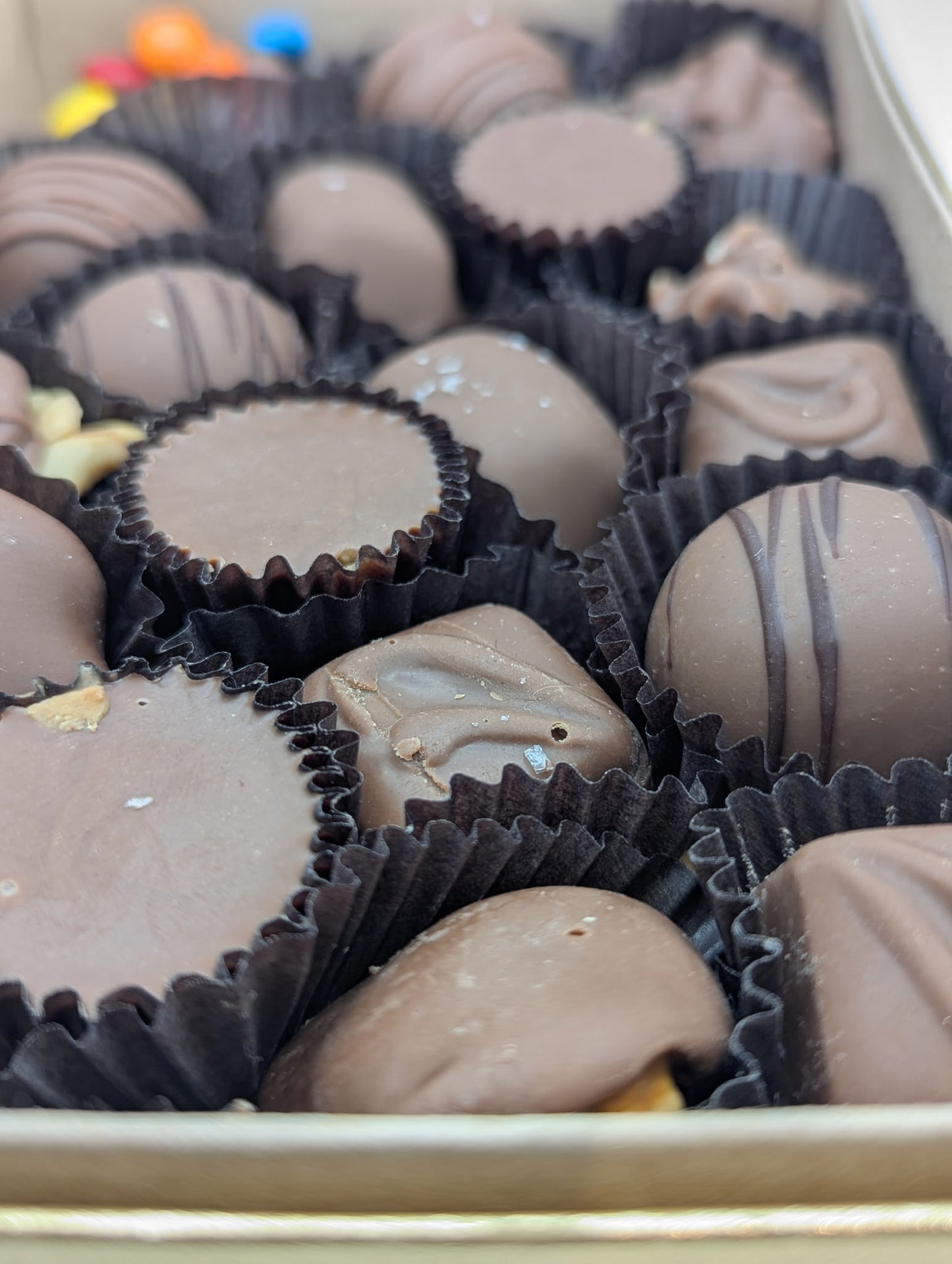Medium Gift Box